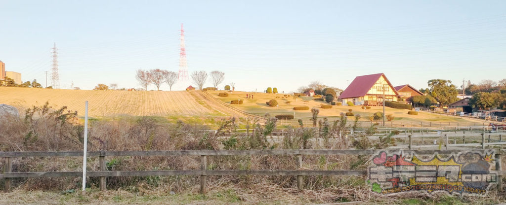 愛知牧場の風景